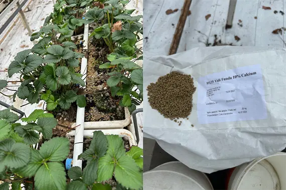 Vidi Funda Vidi Funda: biologische meststof gemaakt van plantaardig materiaal