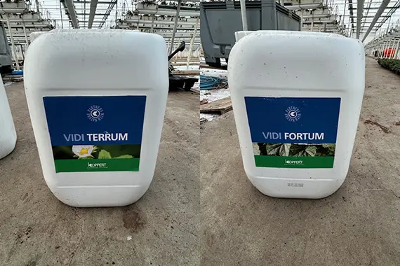Vidi Terrum & Fortum